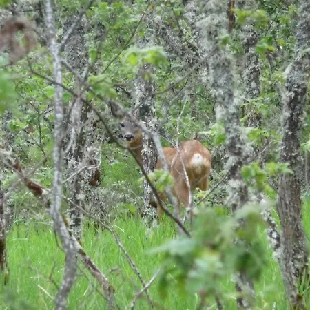 El Hayedo Casa de Férias