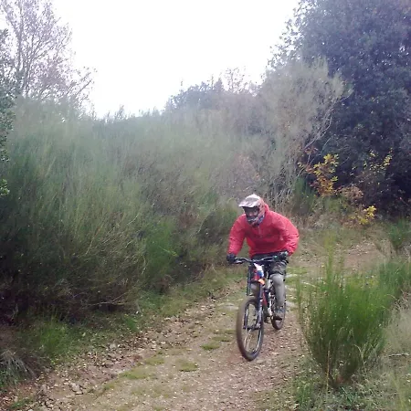 El Hayedo Casa de Férias Pineda de la Sierra