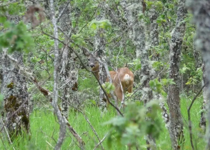 El Hayedo Сasa de vacaciones